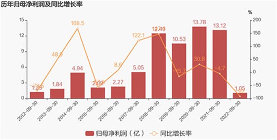 净利润增长率