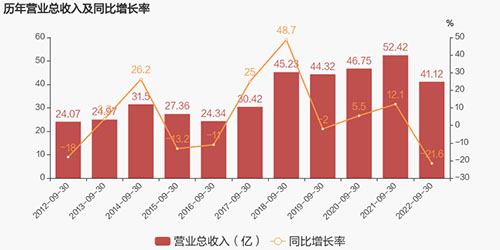 收入增长率