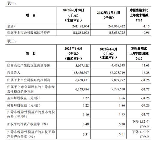 项目表